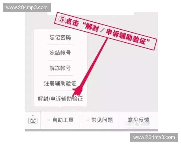 英雄联盟账号被封后玩家该如何有效申诉与快速解封指南